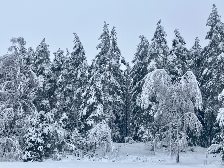 Tillsynsärenden urholkar budgeten