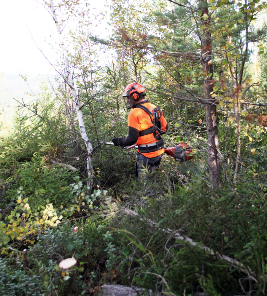 AI kan mäta röjningsberget