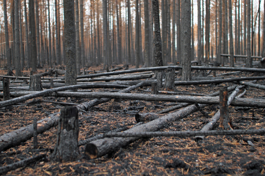 Dolda bränder en stor utsläppskälla