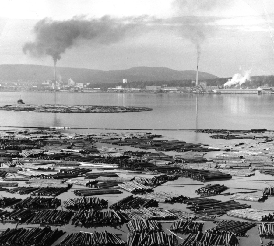 ”Naturen började inte på 1950-talet”
