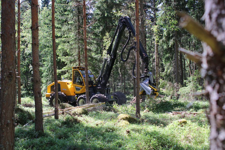 Regeringen vill halvera tid för avverkningsanmälan