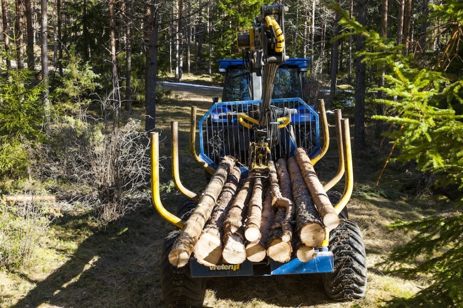 Har du blivit bättre på säkerhetstänk vid skogsarbete?