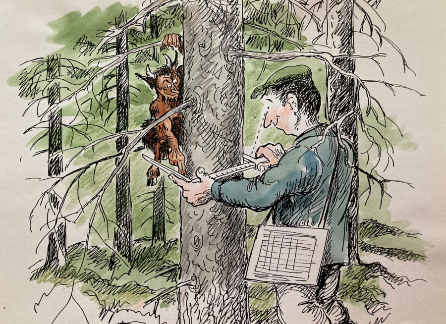 Debatt: ”Dialogens död – när skogsnäringen talar maktspråk”