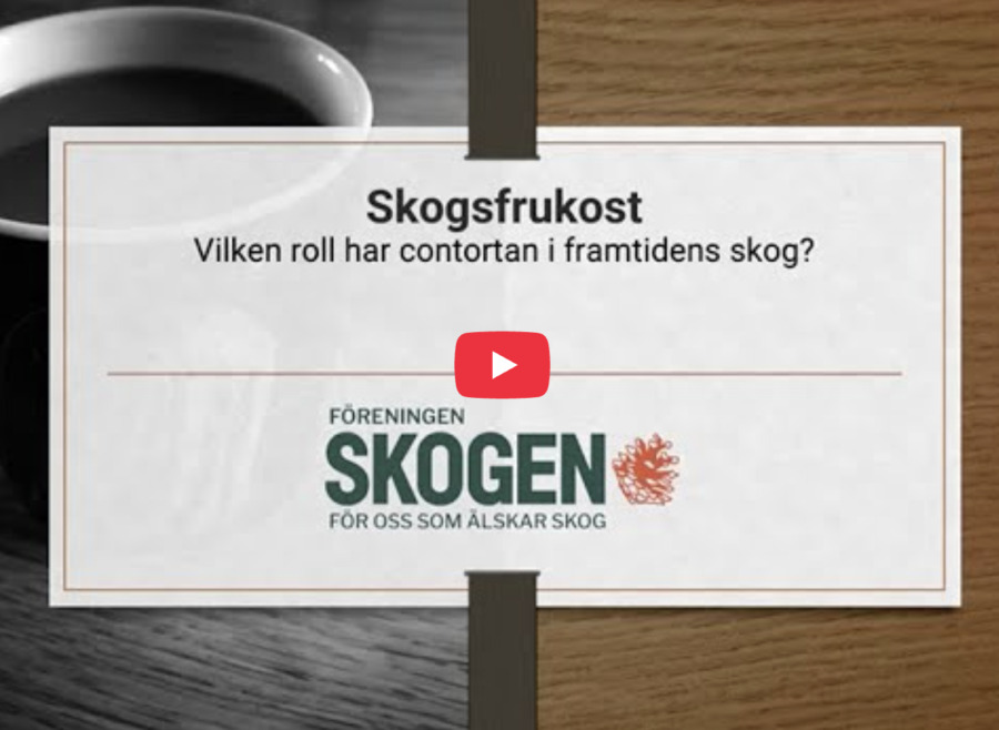Skogsfrukost: Deklaration