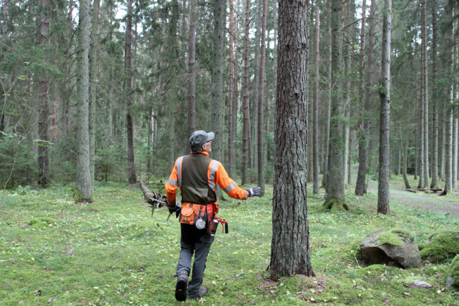 Skoglig karriär ett säkert val
