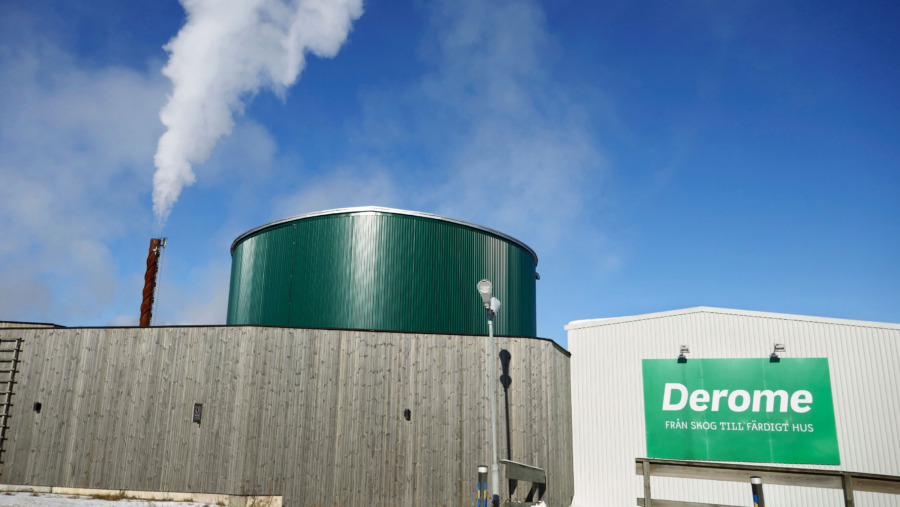 I byggindustrins spåkula: Björk, återbruk, förädling – och kamp om råvaran