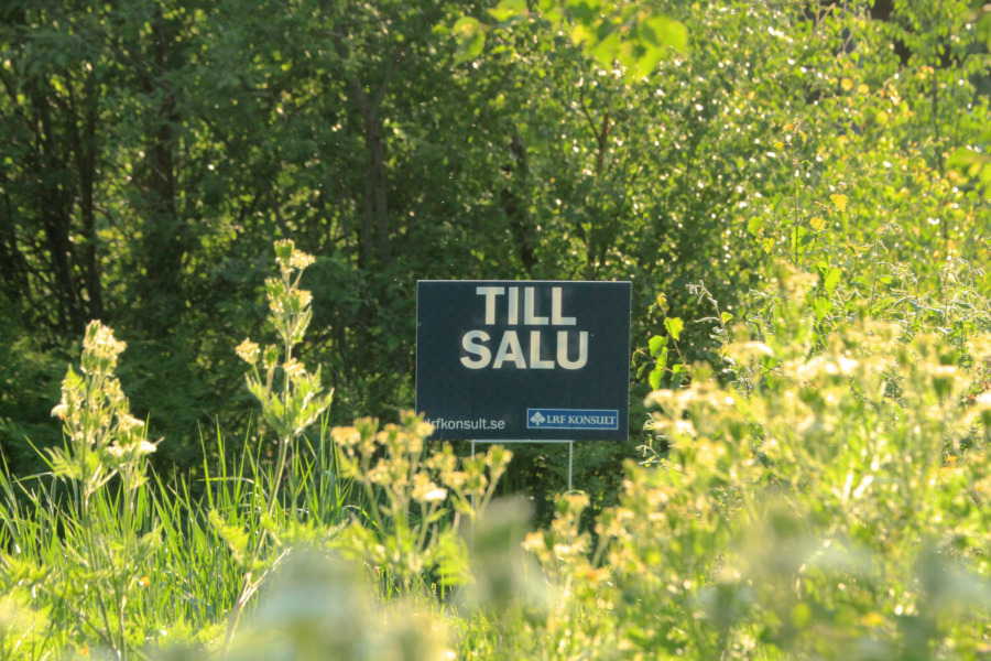 Här är landets största privata skogsägare