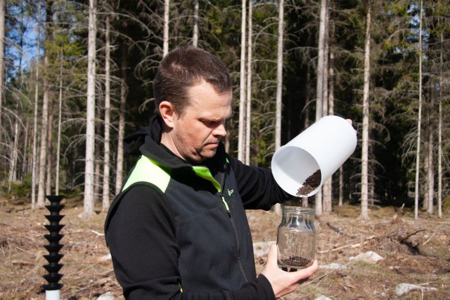 Efter storm följer skadegörare