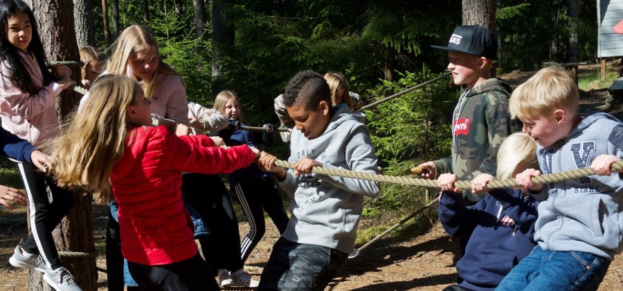 Vårbudget utan riktning – då måste skogen visa vägen