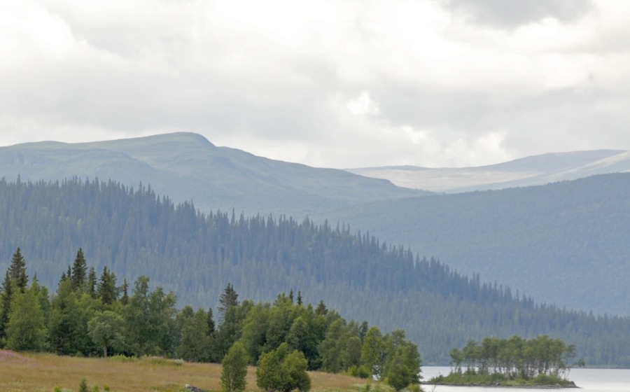 Sminkjätte bryter med SCA