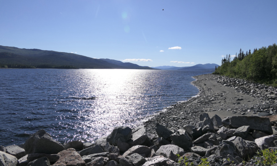 ”Vem ska ta första steget mot fred i skogen”