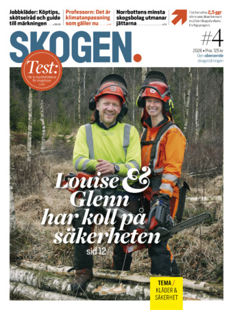 Skogen