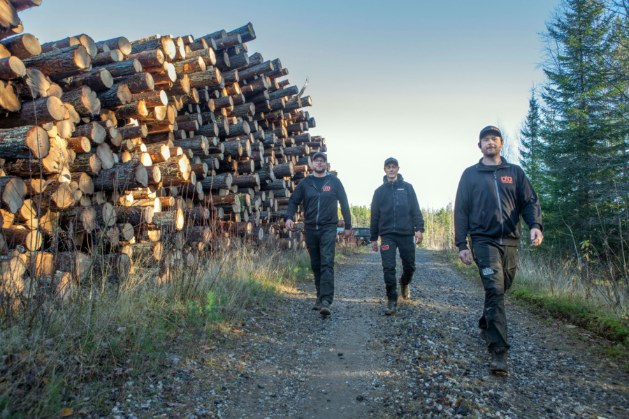 Norrbottens minsta skogsbolag siktar högt