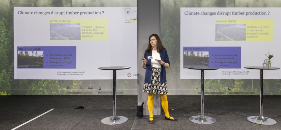 Så ska det samarbetas  – så in Norden