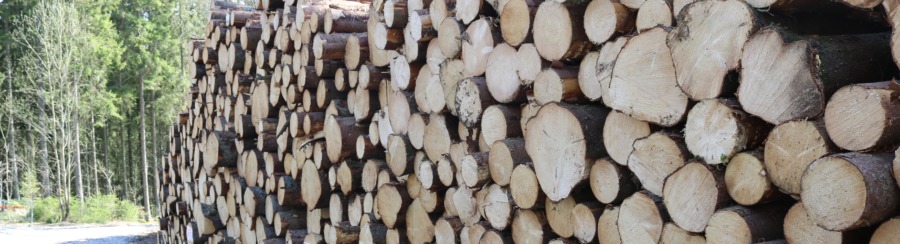 Prissänkningar hos Mellanskog