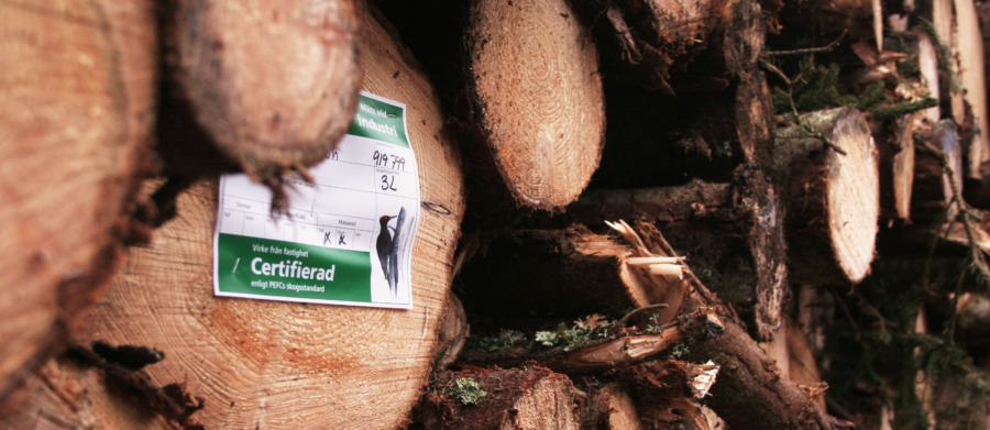 Certifierad skog ökar