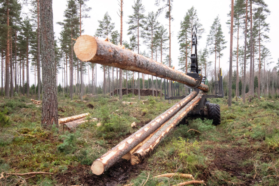 Stolpjakten flyttar söderut