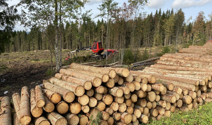Sveaskog sänker virkespriserna