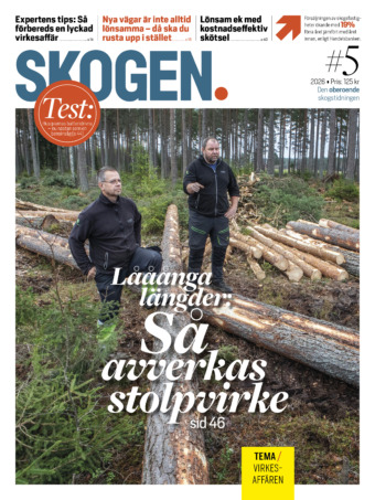 Skogen