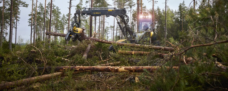 Så används stormpengarna