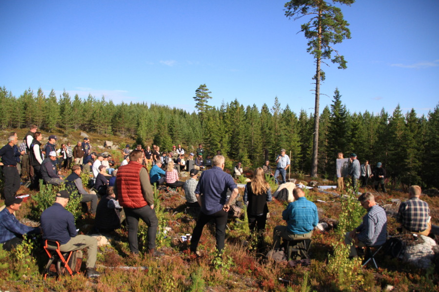 Krokig väg till dagens hänsyn