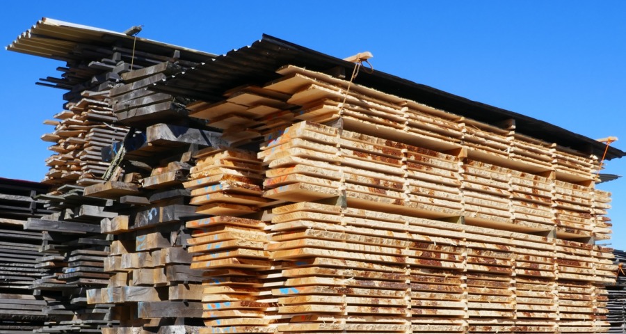 Träprodukters klimatnytta ska väga tyngre