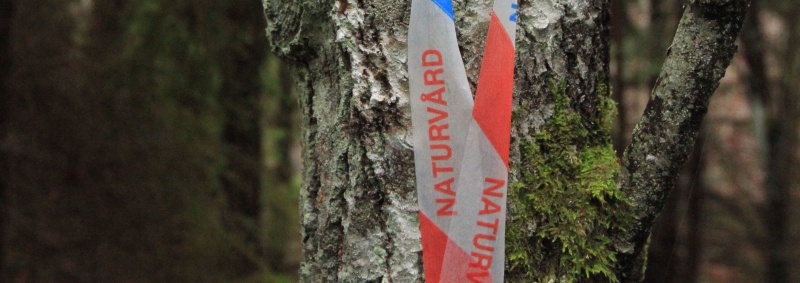 Restaureringsplan utan arealmål
