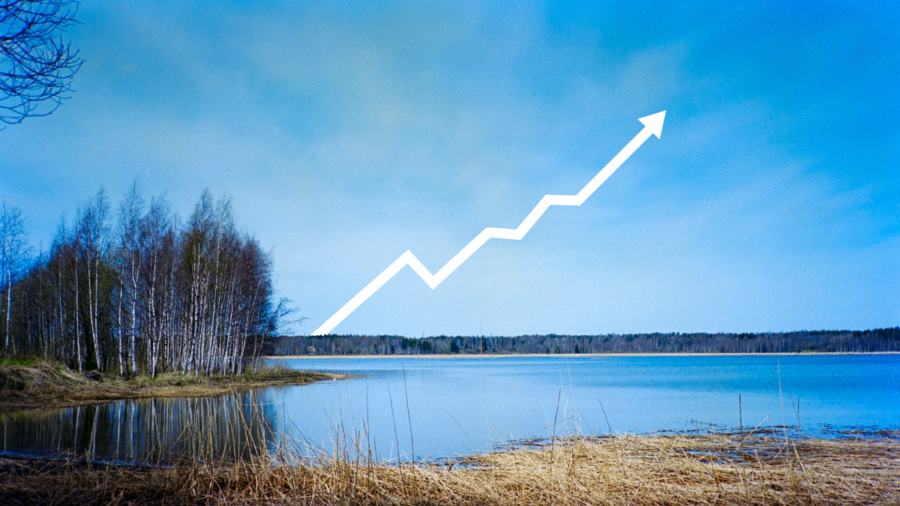 Skogsjätten vinnare när Google satsar stort i Norden