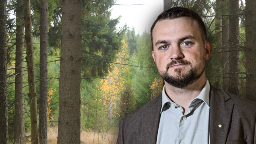 Så kan skogspolitik avgöra valrysaren