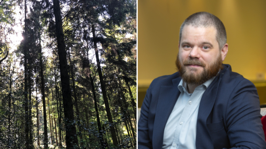 Skogen och räntorna: ”Ytterligare en spik i kistan”