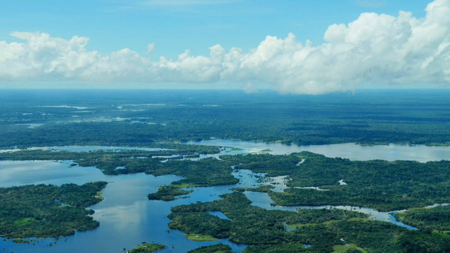 Brasiliens skyddar hundratusentals hektar i Amazonas