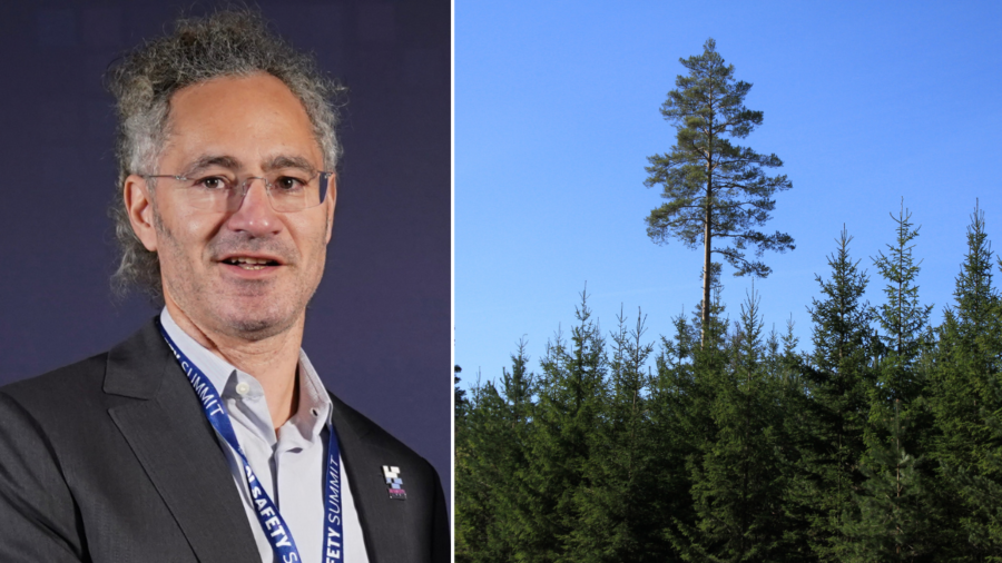 SCA säljer 15 000 hektar till AI-profil