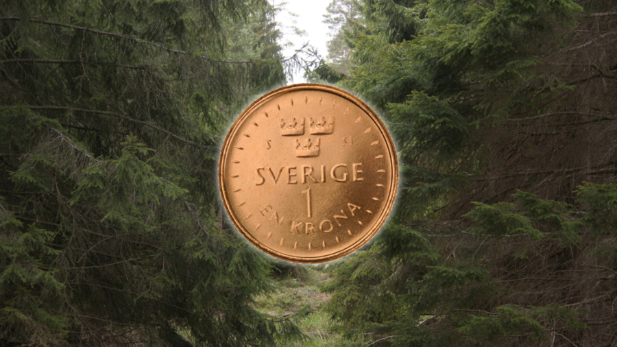 Skogsekonomin välkomnar svaga kronan
