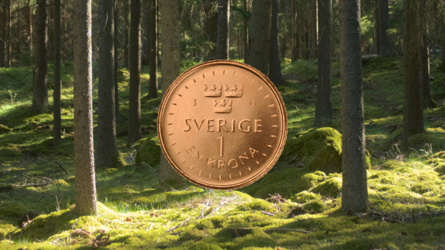 Bästa läget för svensk ekonomi – på fem år