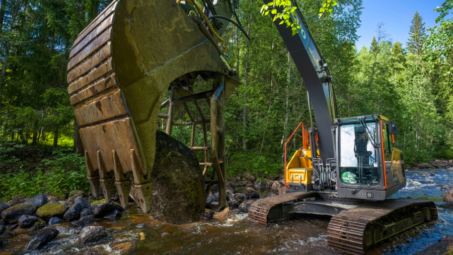 Här återförvildas älvnära skog