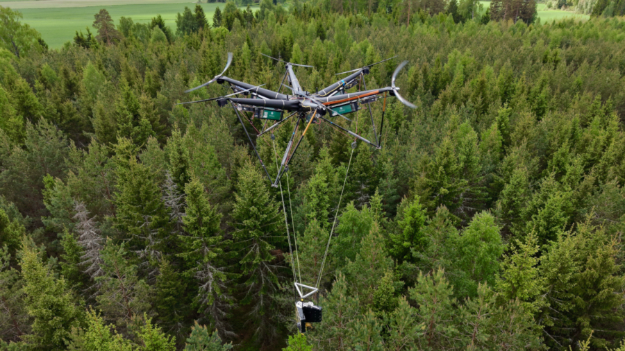 Mer timmer med drönargallring