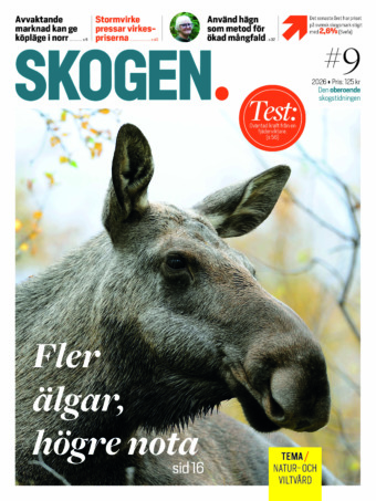 Skogen