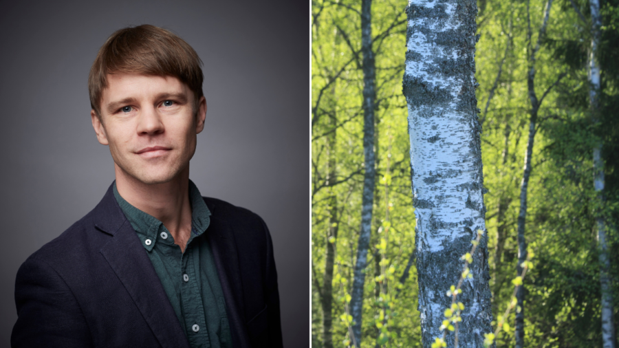 Skogsstyrelsen: ”Vi rättar fel, men huvudbudskapet står fast”