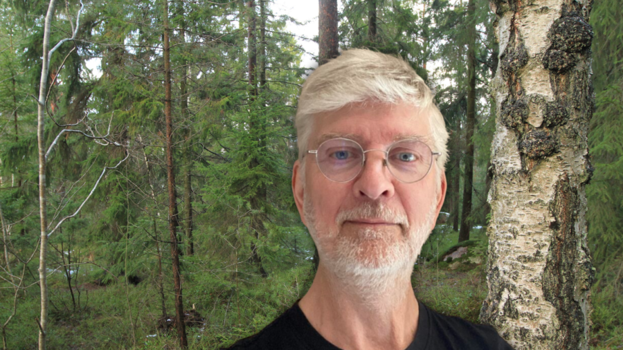 Experten om hyggesfritt: ”Till slut kollapsar det” 