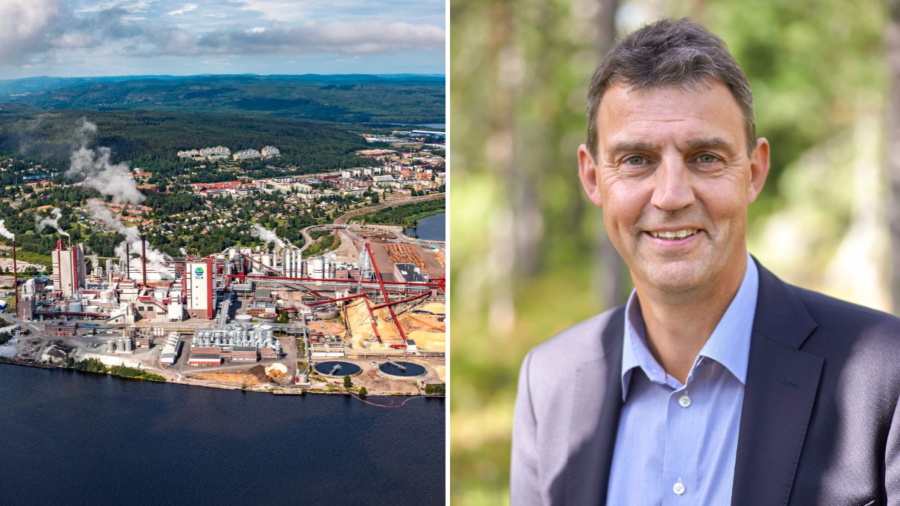 SCA överraskar positivt – och köper 5000 hektar skog