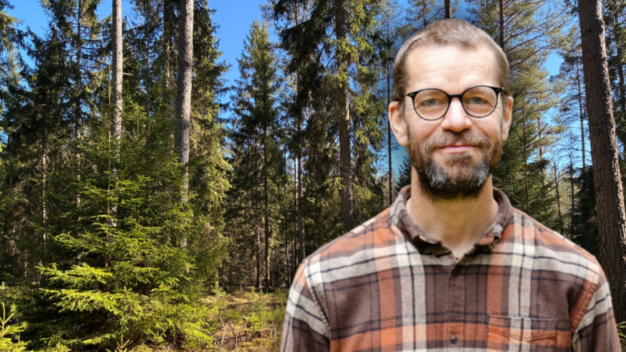 Expert: ”Hyggesfritt ställer gamla kunskaper åt sidan”