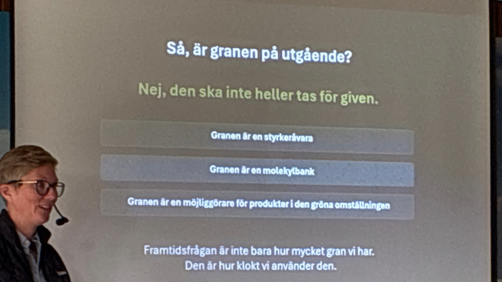 Karin Dernegård