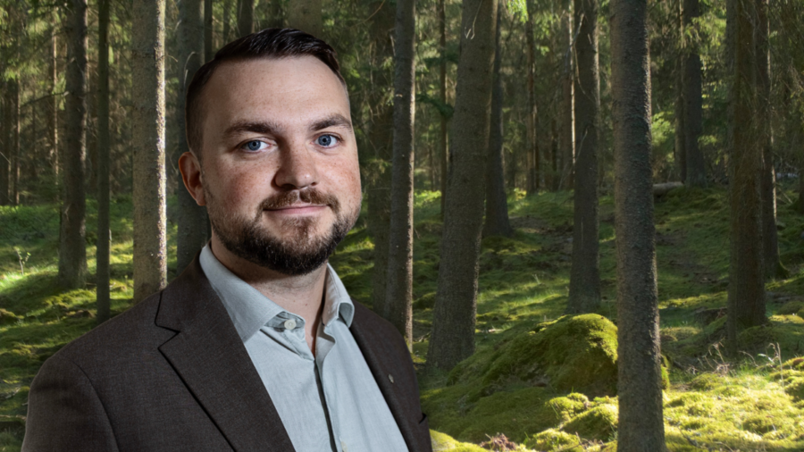 Hemligheten som sänker skogen