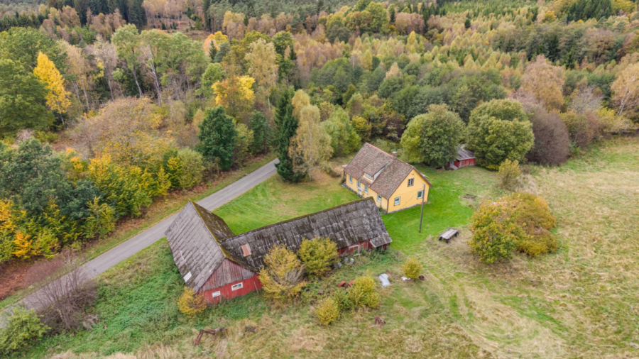 Skånsk skogsgård med fiskerätt och bokskog