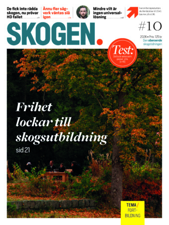 Skogen