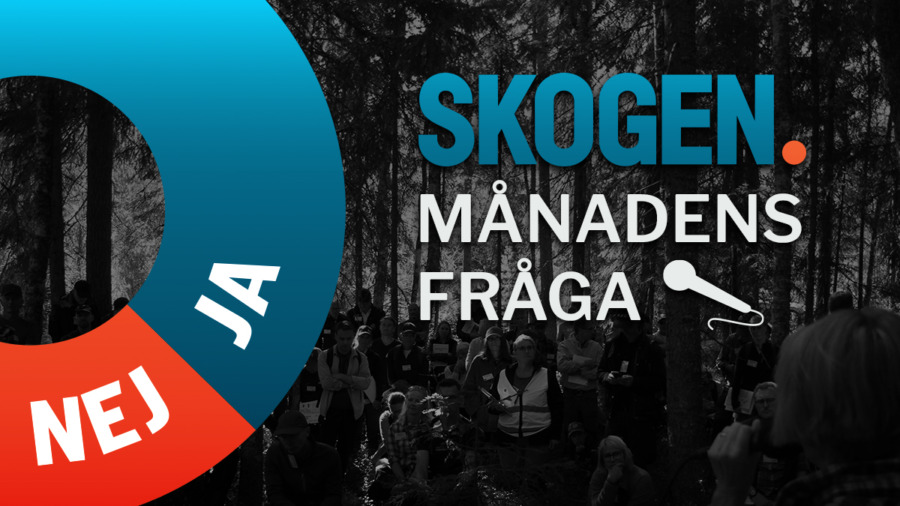 Stor oro kring jobb i svensk skogssektor