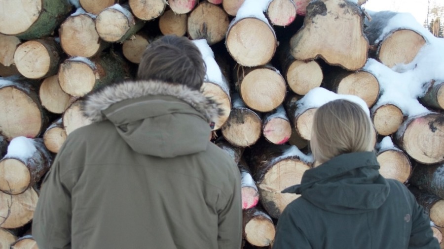 Är du orolig för framtidens skogsjobb?