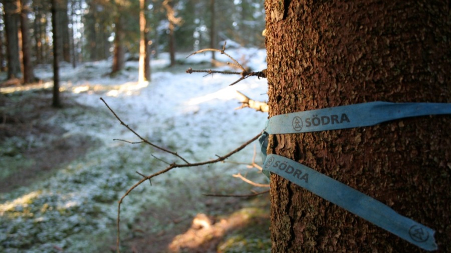 Södra möblerar om i ledningen